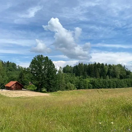 Privaatne Maja Metsas, Kraanist Voolab Allikavesi * Plaani