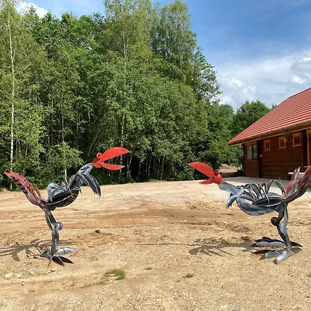 Privaatne Maja Metsas, Kraanist Voolab Allikavesi *