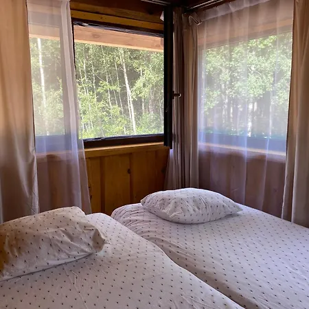 Privaatne Maja Metsas, Kraanist Voolab Allikavesi *