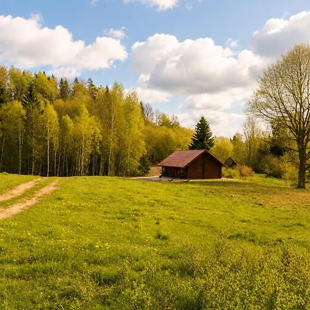 Holiday home Privaatne Maja Metsas, Kraanist Voolab Allikavesi Plaani