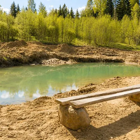 Privaatne Maja Metsas, Kraanist Voolab Allikavesi Holiday home Plaani