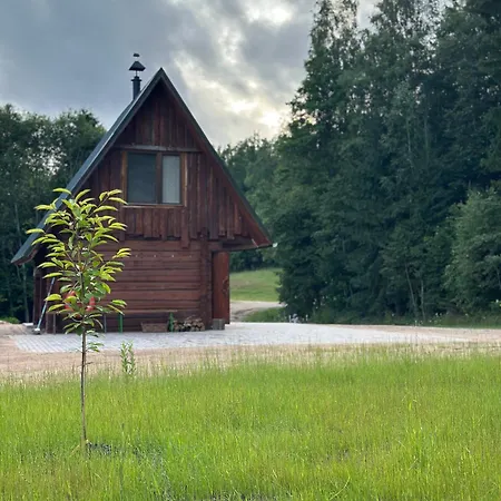 Privaatne Maja Metsas, Kraanist Voolab Allikavesi Holiday home *