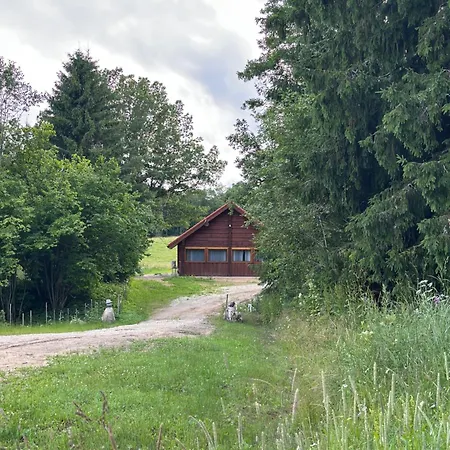 Privaatne Maja Metsas, Kraanist Voolab Allikavesi Plaani