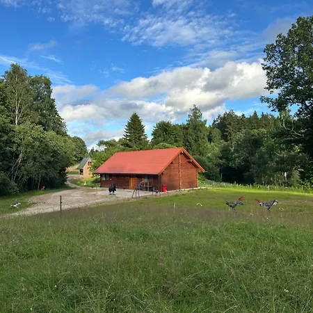 Privaatne Maja Metsas, Kraanist Voolab Allikavesi Holiday home Plaani